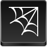 Web